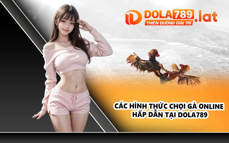 Các hình thức chọi gà online hấp dẫn tại DOLA789
