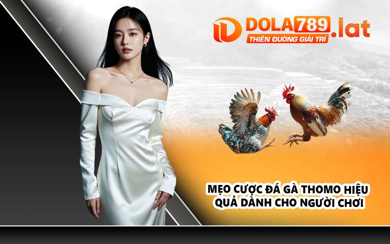 Mẹo cược đá gà Thomo hiệu quả dành cho người chơi