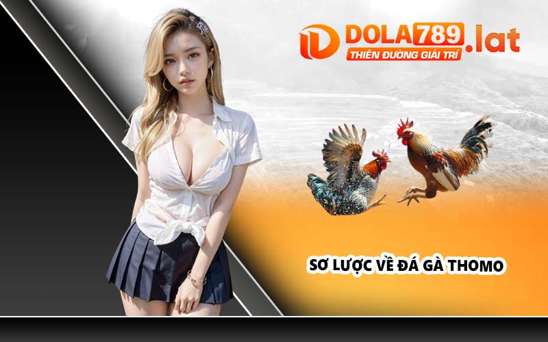 Sơ lược về đá gà Thomo
