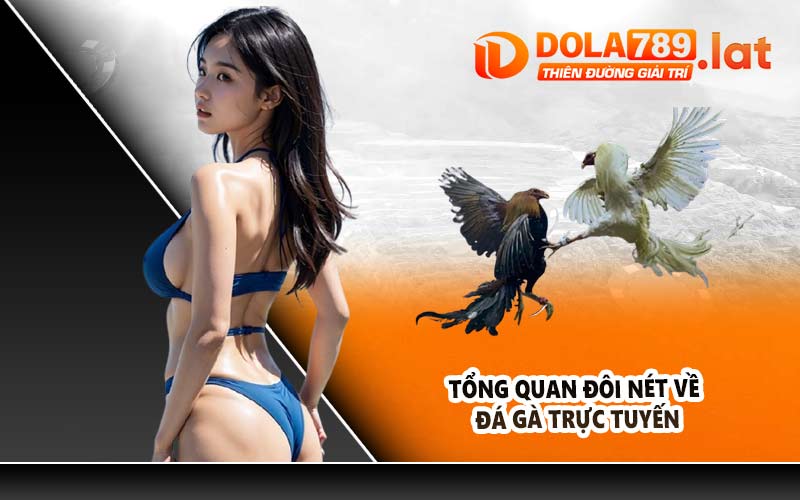Tổng quan đôi nét về đá gà trực tuyến